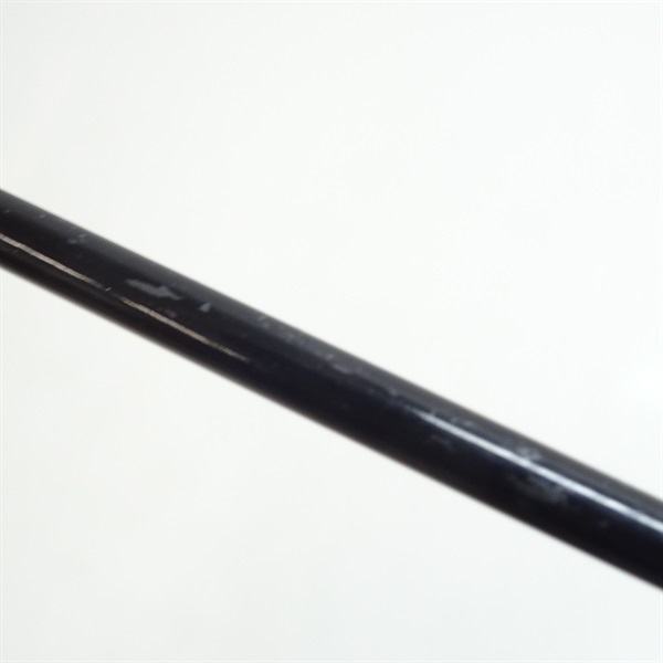 普天元 大我十三